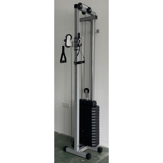 F-1194 wall Mount Functional Trainer (Viking)