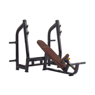 Luxury Incline Bench H-025 (VIKING)